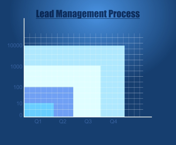 lead management process